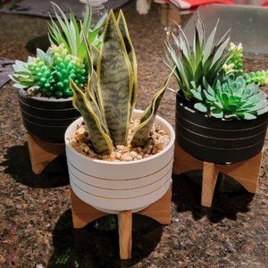 2 Flora Bunda Mid Century 4.75 inch ceramic planter on wood